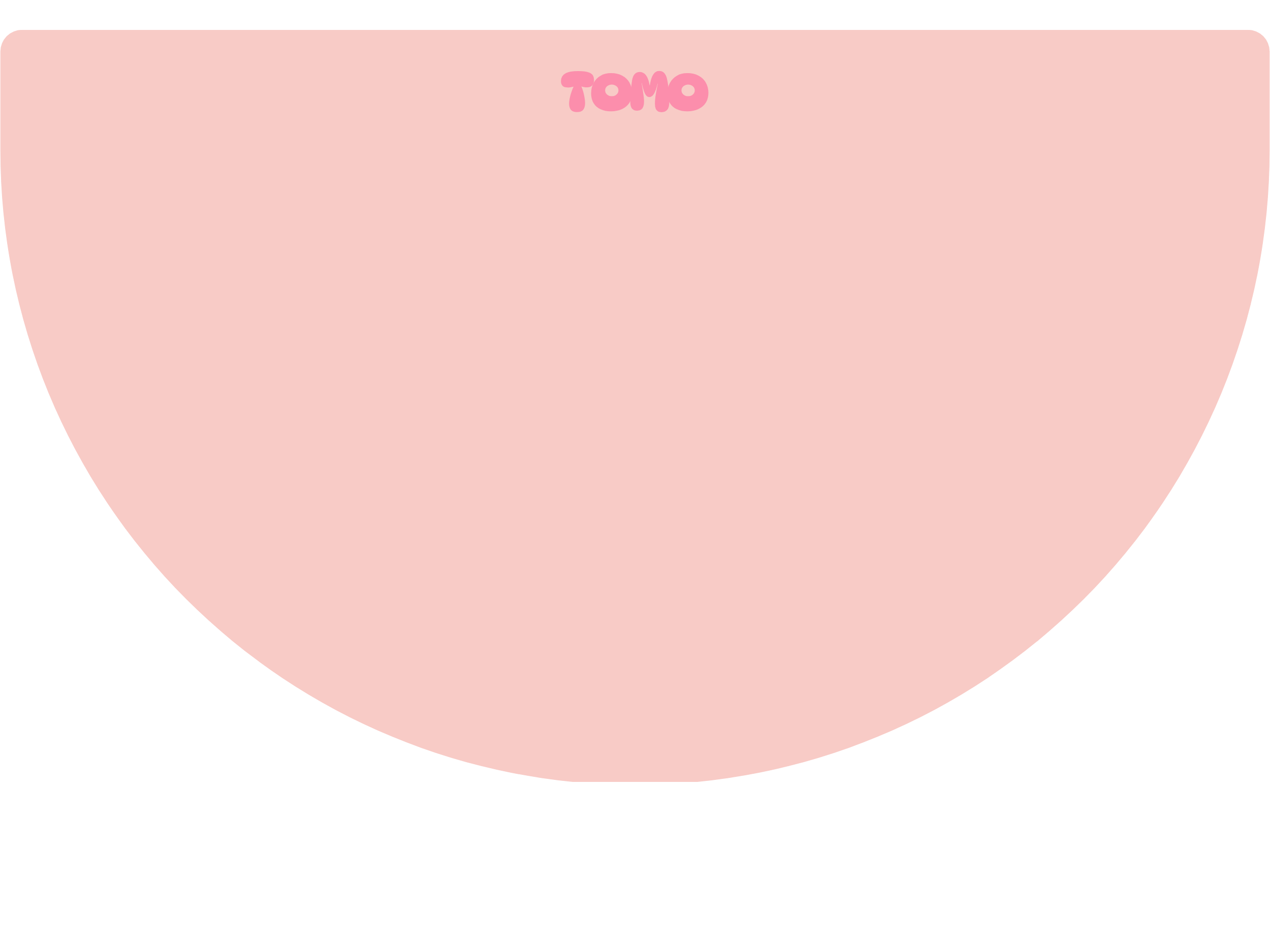 Feeding Mat